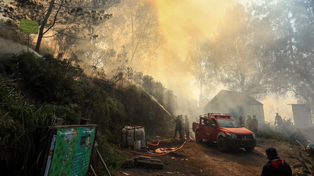 East Java Forest Fires Subside, Hotspots Remain at the Foot of Mount Ijen