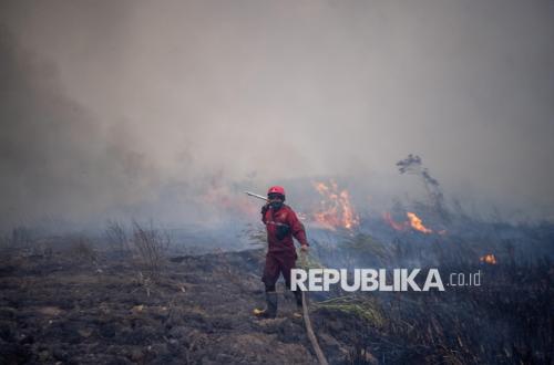 National Forest and Land Fire Hotspots Decrease Significantly