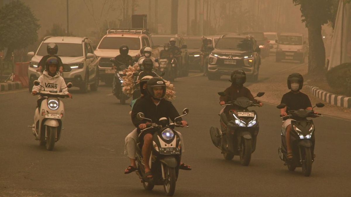 Depleted Regional Budget: Palangka Raya Government States Inability to Further Manage Forest Fires