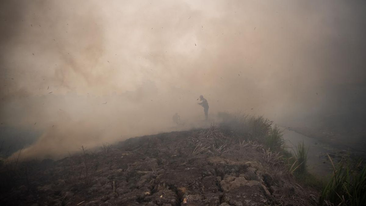 BNPB Reveals 96.07 Hectares of Land Still Burning Across Six Provinces