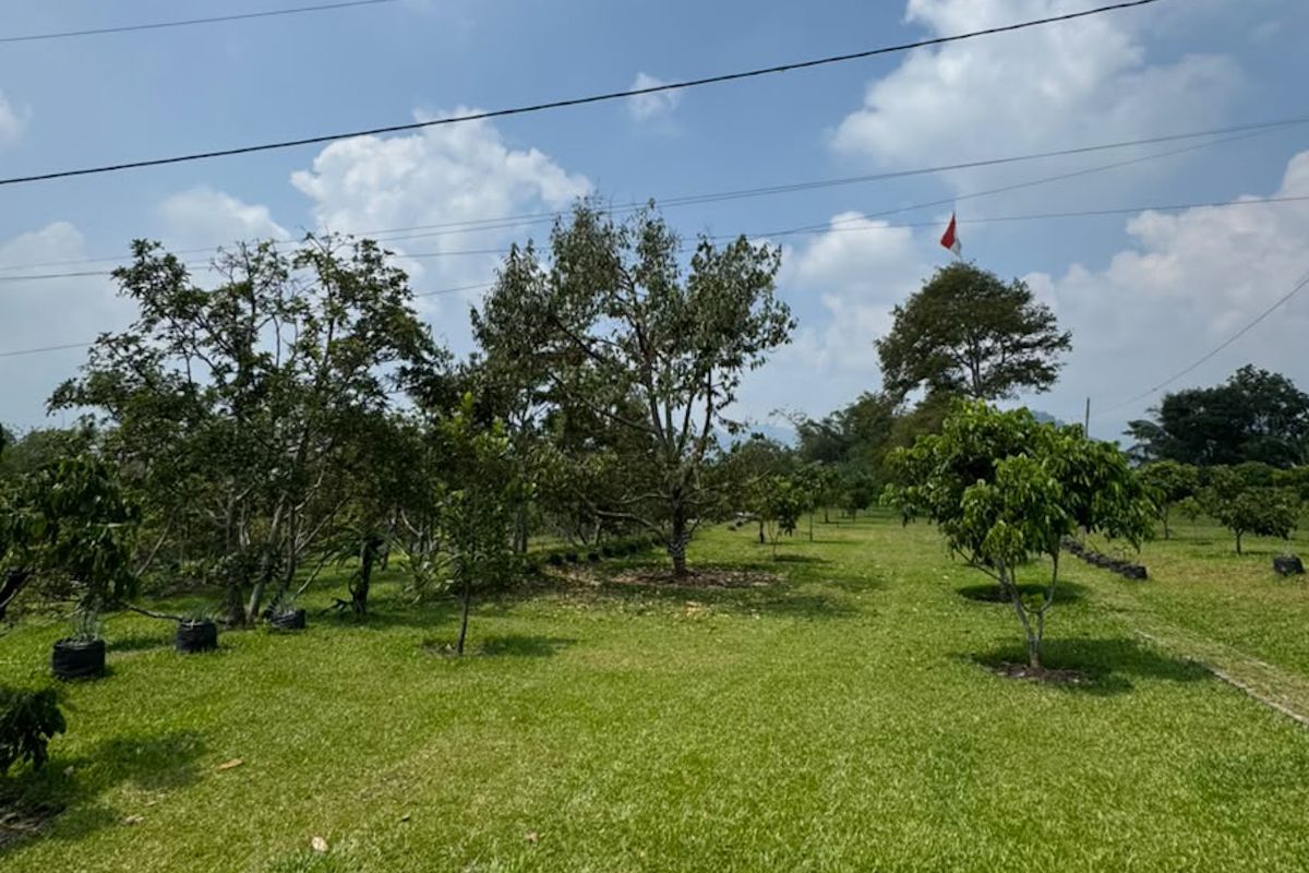 KPK inspects 1.5-hectare glamping site in Subang allegedly owned by police officer linked to Bekasi case