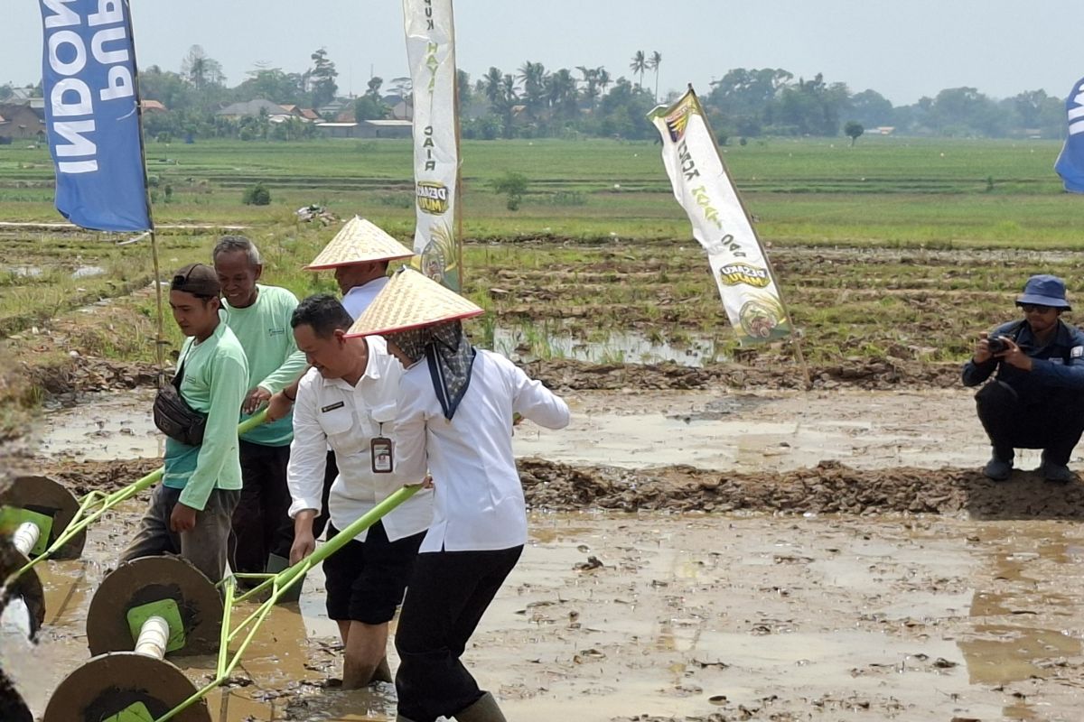 Lampung launches PM-AAS planting movement with 1,000-hectare weekly target