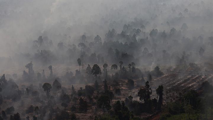 Indonesia Sends Off Japan's Forces as Forest Fire Mission Ends