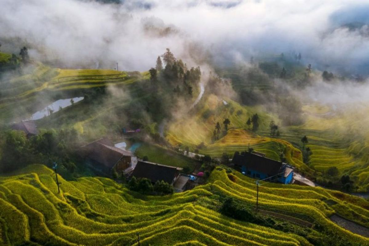 4th Global Agricultural Culture Exchange and Learning Conference “From Ziquejie Terraces to the World” Opens in Loudi, Hunan