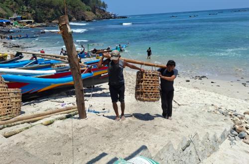 Despite Abundant Fish Stocks, Central Java Ranks Second Lowest in National Fish Consumption