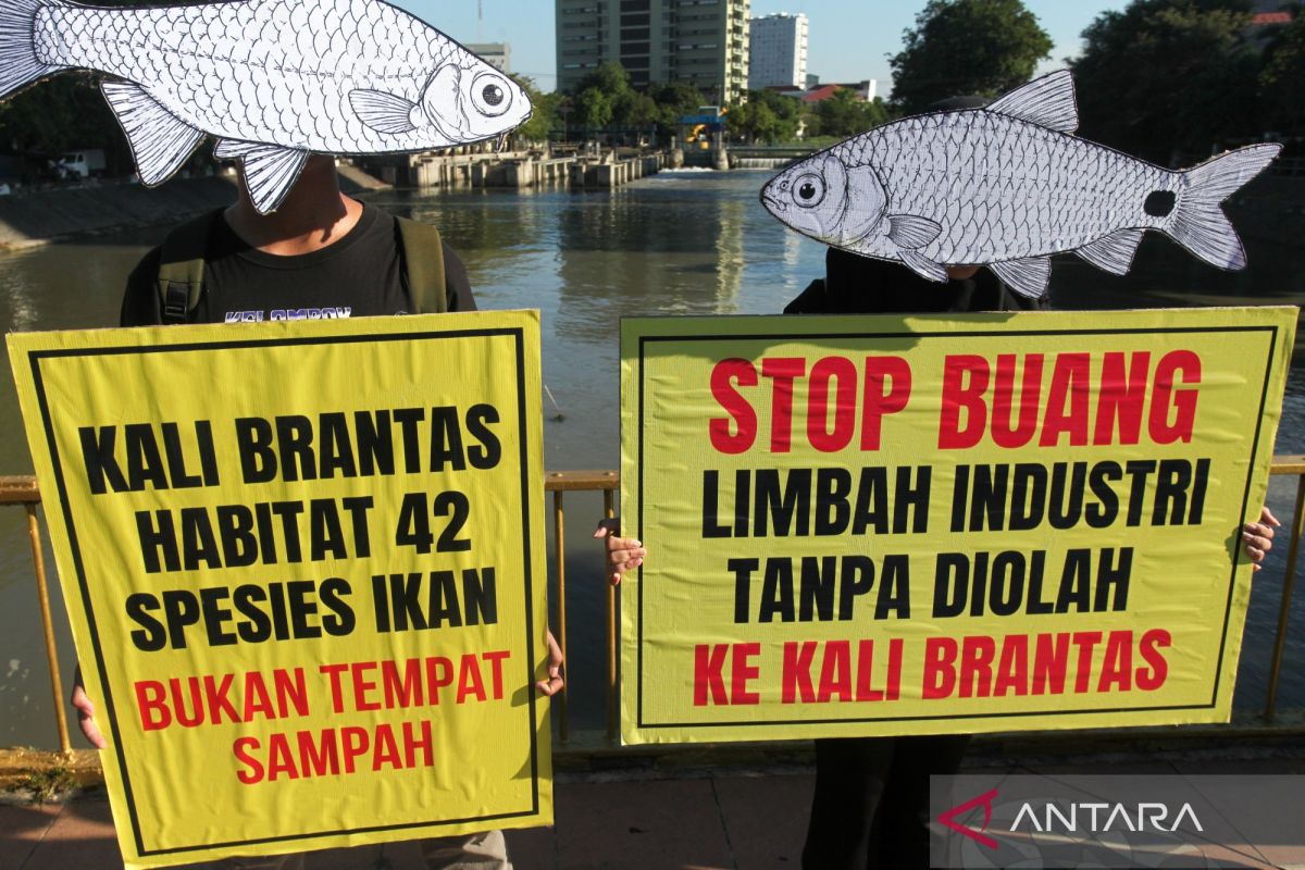 Malang City Government Investigates Cause of Discolouration in Brantas River