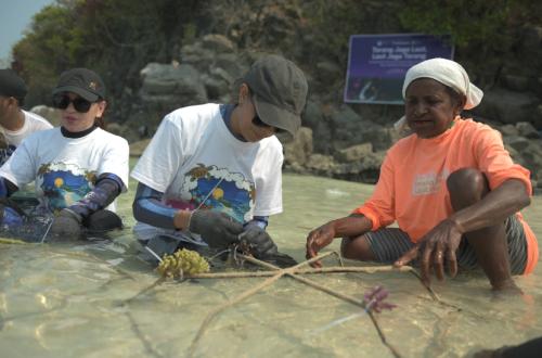 MoraRepublic Strengthens Efforts to Restore Marine Ecosystems and Biodiversity in Papua