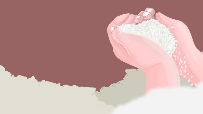The World's 10 Largest Rice Producing Countries: Who are Indonesia's Competitors?