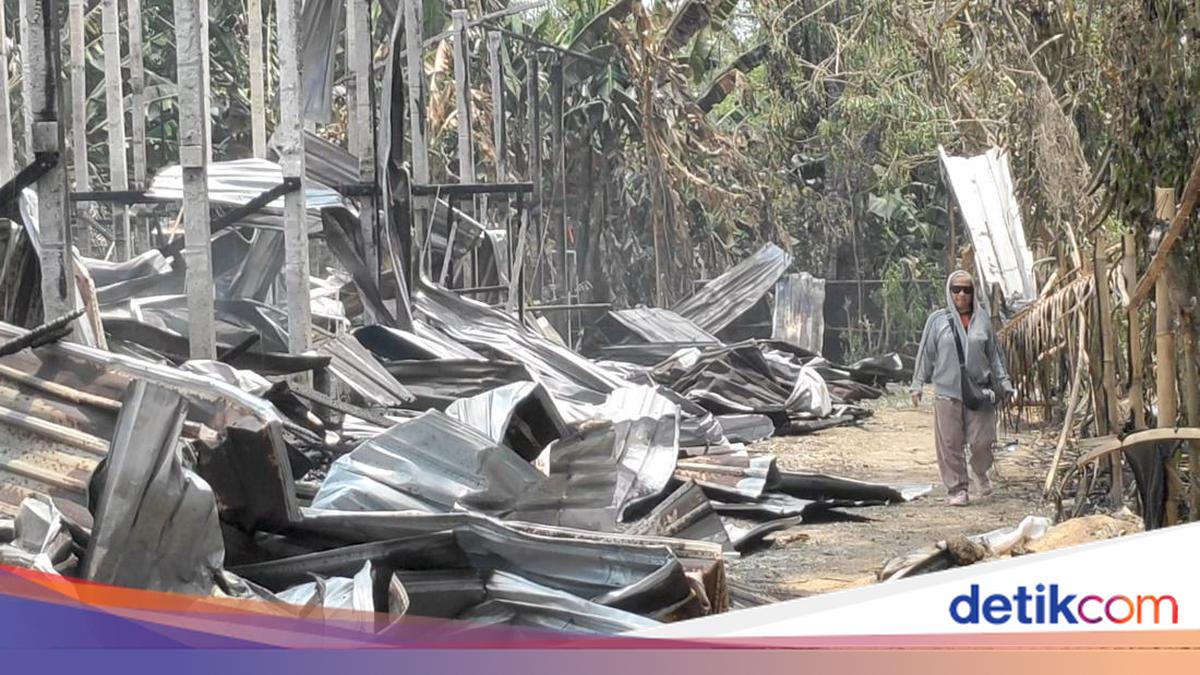 Chicken Coop in Badung Destroyed by Fire, 15,000 Chicks Perished