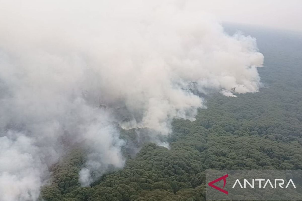 Joint Forest Fire Task Force Opens Access to Fire Hotspots in TNBS
