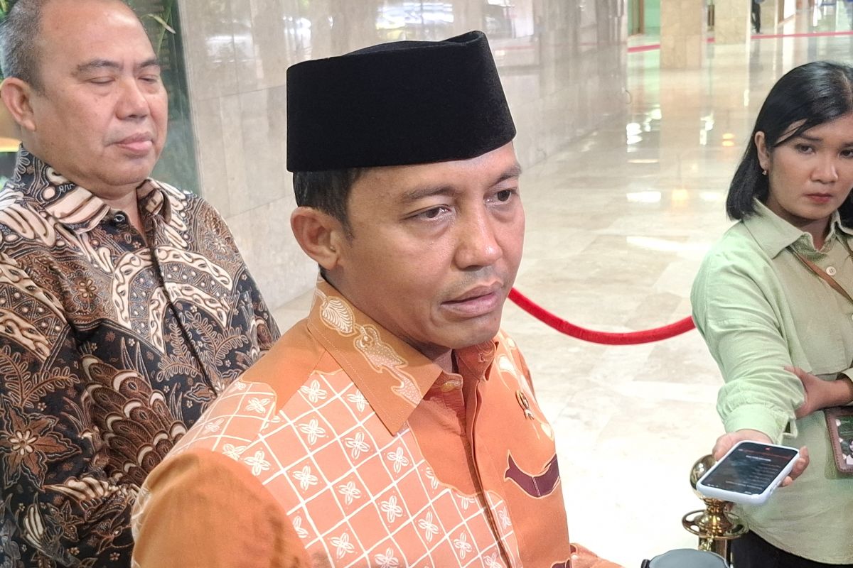 Indonesia seeks economic benefits from peatlands without harm