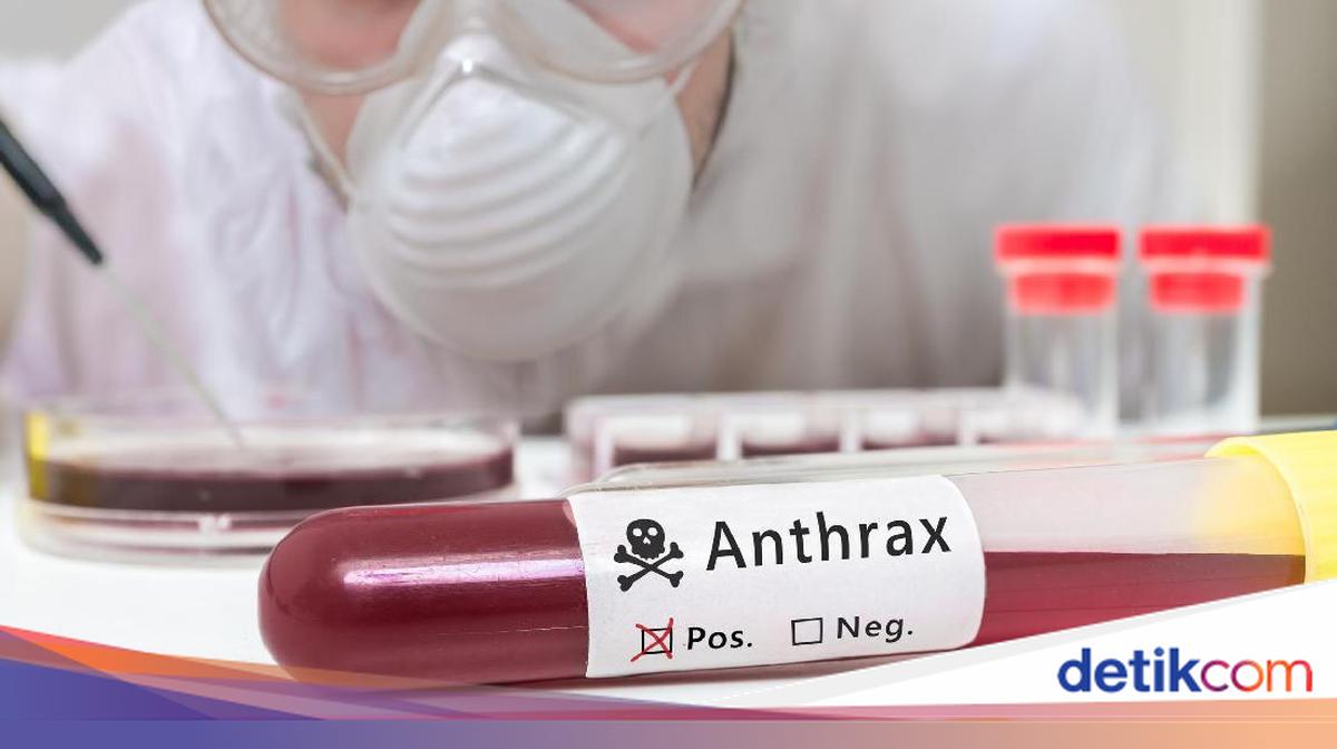 Four Residents in Gunungkidul Test Positive for Anthrax After Consuming Carcass