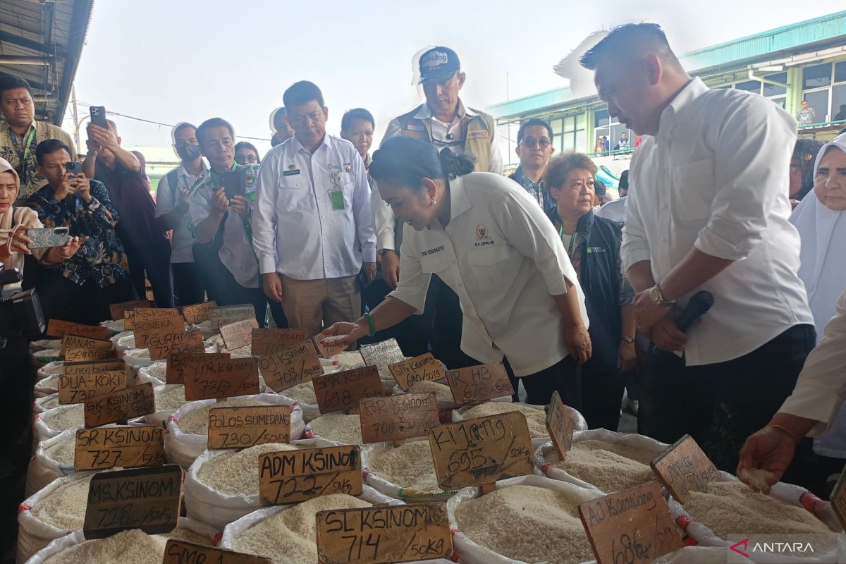 DPR Commission IV Highlights Rice Distribution in Cipinang to Maintain Prices