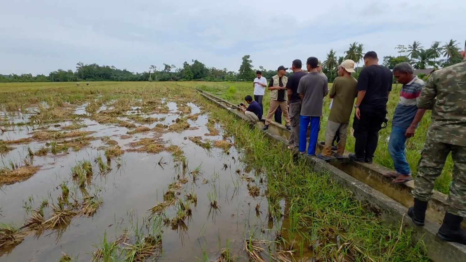 Recovery of flood-affected paddy fields in West Aceh reaches 96 per cent