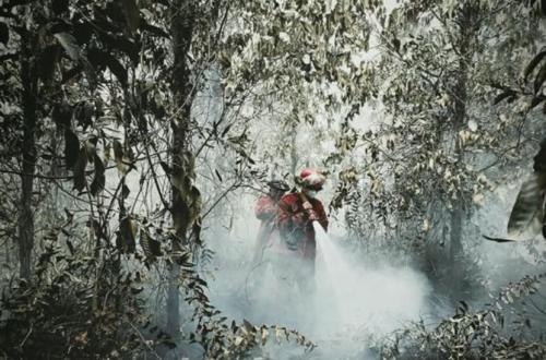 Land Governance Key to Preventing Forest and Land Fires