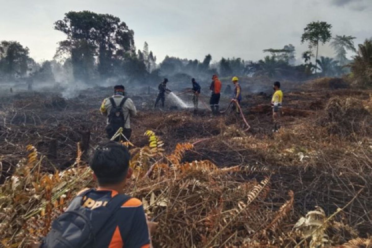 Kapuas extends emergency status as drought, forest fires worsen