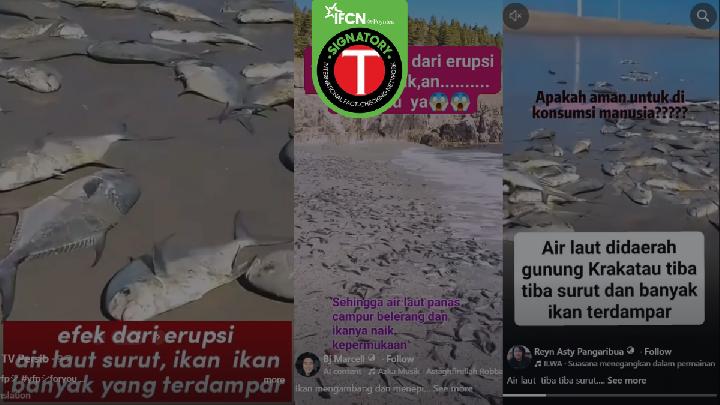 Fact Check: Stranded Fish on Beach Unrelated to Anak Krakatau