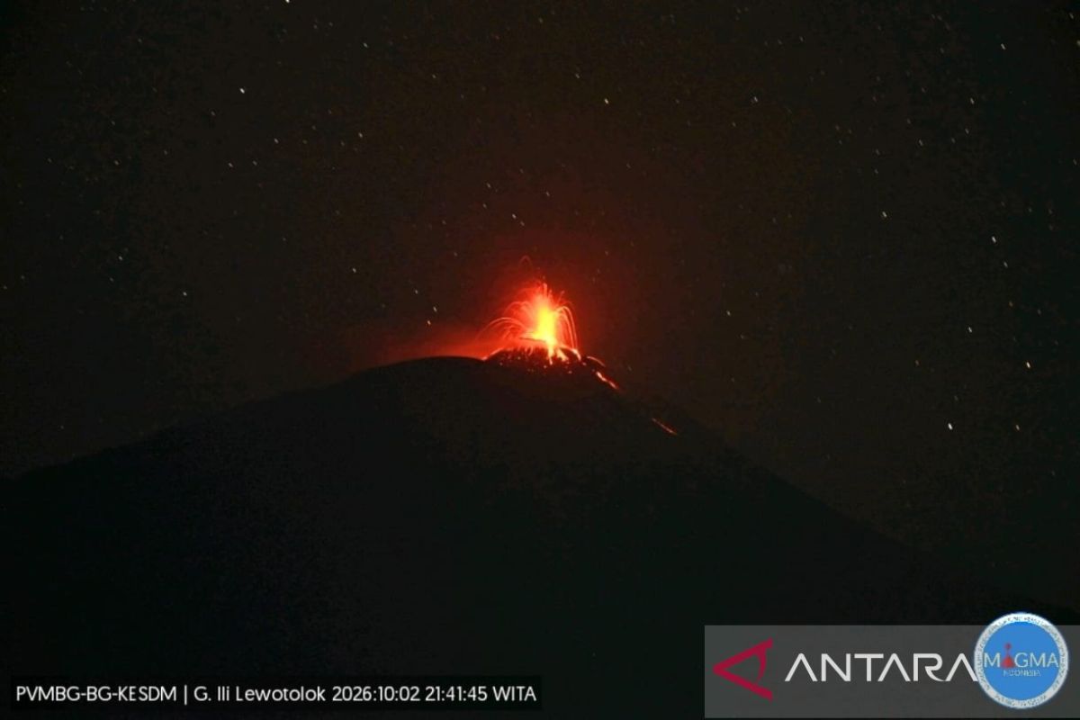 Mount Ili Lewotolok Erupts, Discharging Ash and 500-Metre Lava Flow