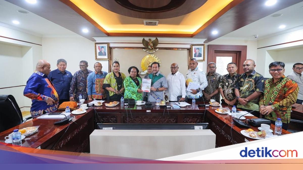 Papua MRP Meets Deputy Chair of DPD RI to Discuss Acceleration of North Papua New Autonomous Region