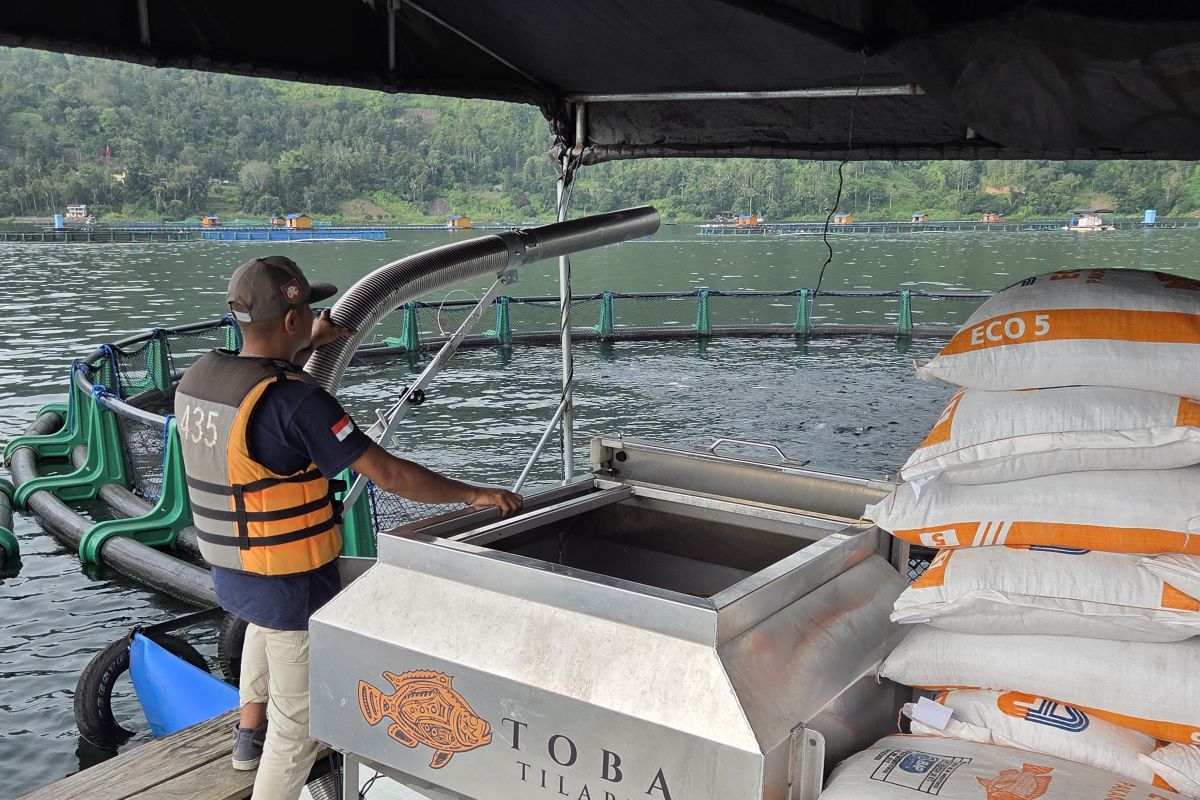 Bappenas develops 'blue food' concept to boost fish consumption
