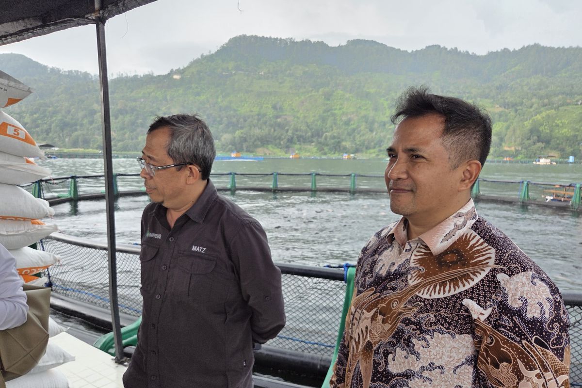 Bappenas: Low-carbon fish farming opens export opportunities to premium markets
