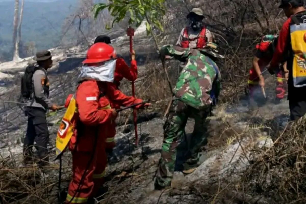 Senaru Climbing Route on Mount Rinjani Reopened