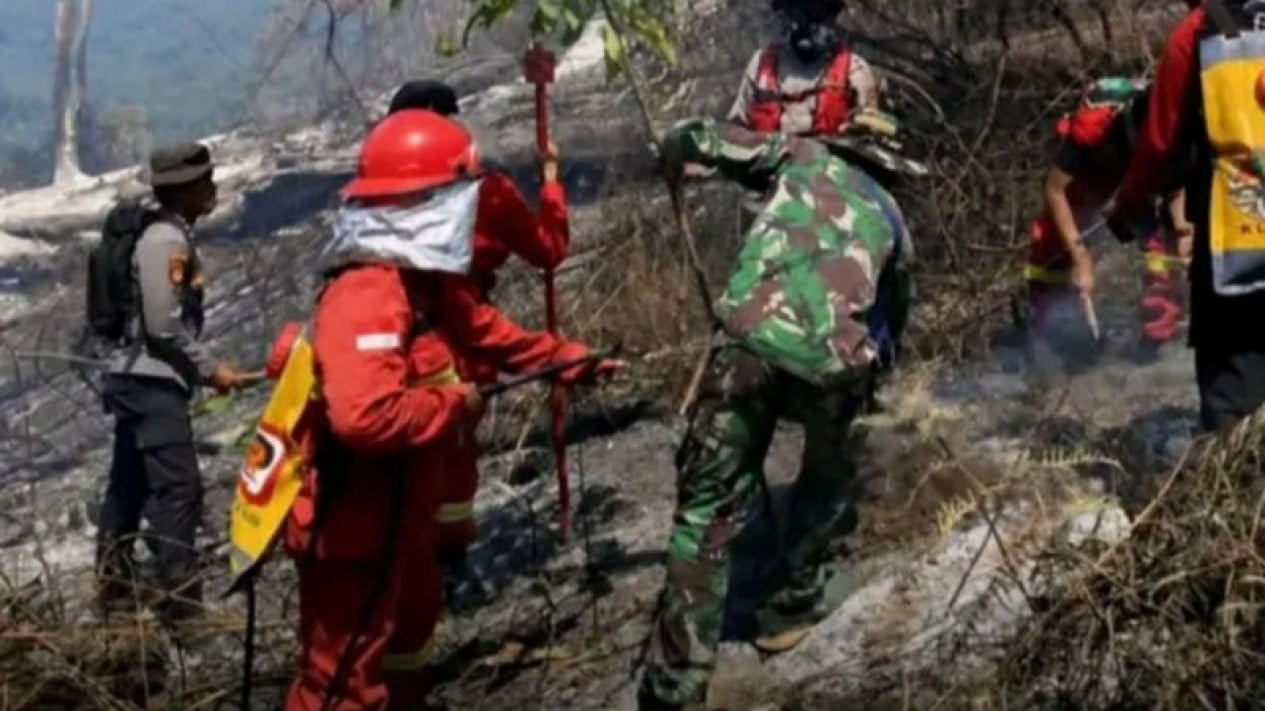Fire Extinguished, Climbers Can Return! Senaru Trail of Mount Rinjani Reopened