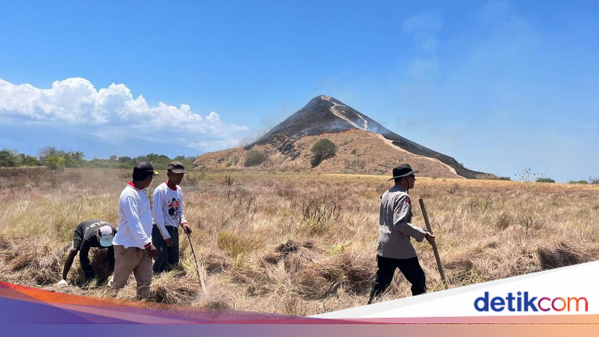 Savanna Fire on Kenawa Island Reaches 5 Hectares, Suspected to be Triggered by Cigarette Butts