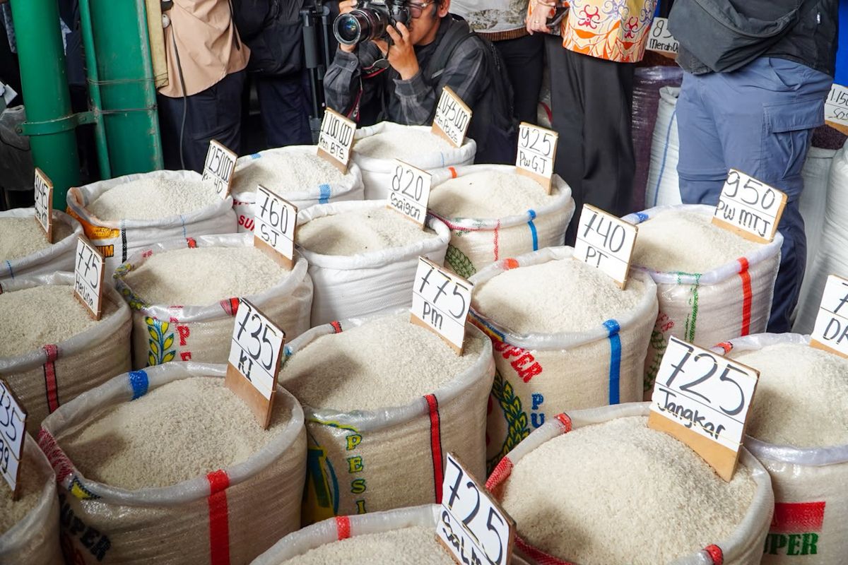 Legislator pushes for rice price stabilisation to protect farmers and consumers