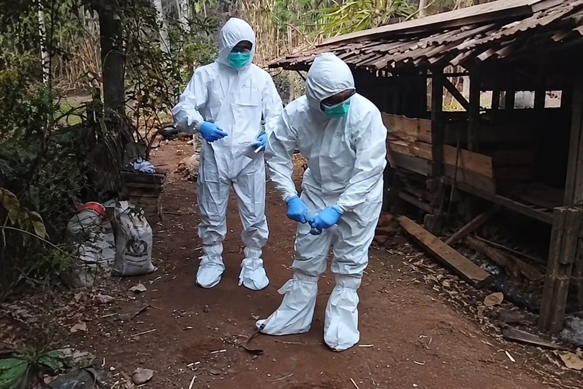 Indonesia steps up anthrax control after case found in Yogyakarta