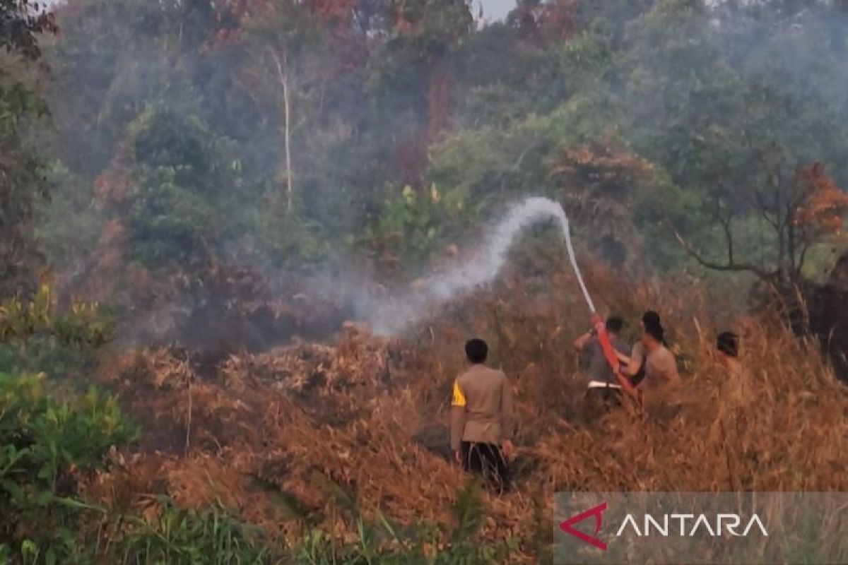 BNPB: Forest and Land Fires in Bangka Belitung Successfully Extinguished in Less Than 24 Hours