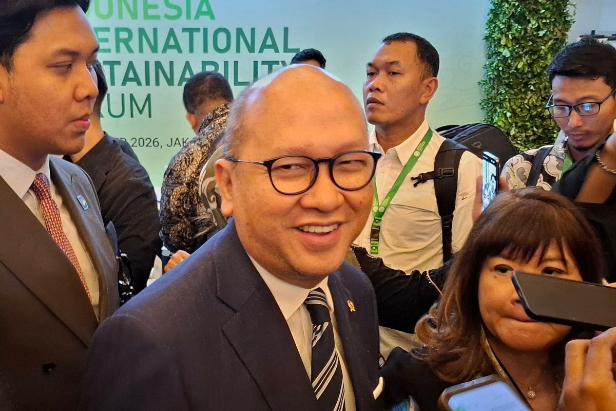 Rosan states Coordinating Ministry for Downstreaming will accelerate energy transition