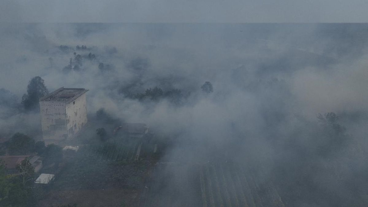 Distance Learning Extended in Palangka Raya Due to Forest Fire Smoke