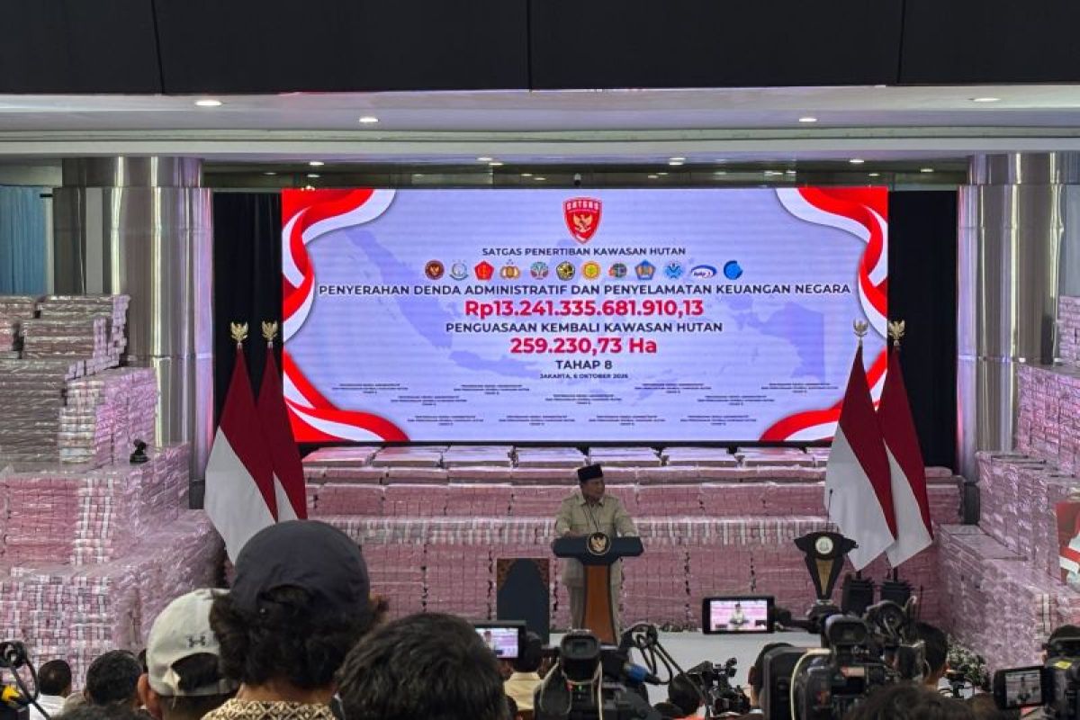 President: Forest Task Force curbs tin smuggling, boosts SOE profits