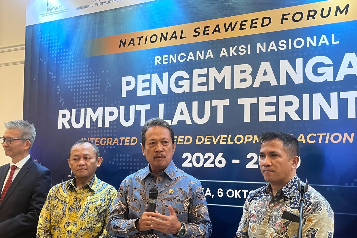 Indonesia turns to seaweed as strategic solution for food security