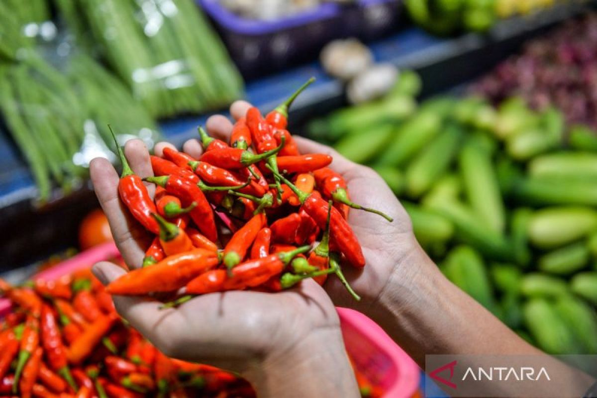 Trade Minister Says Chilli Prices Have Risen as Production Falls