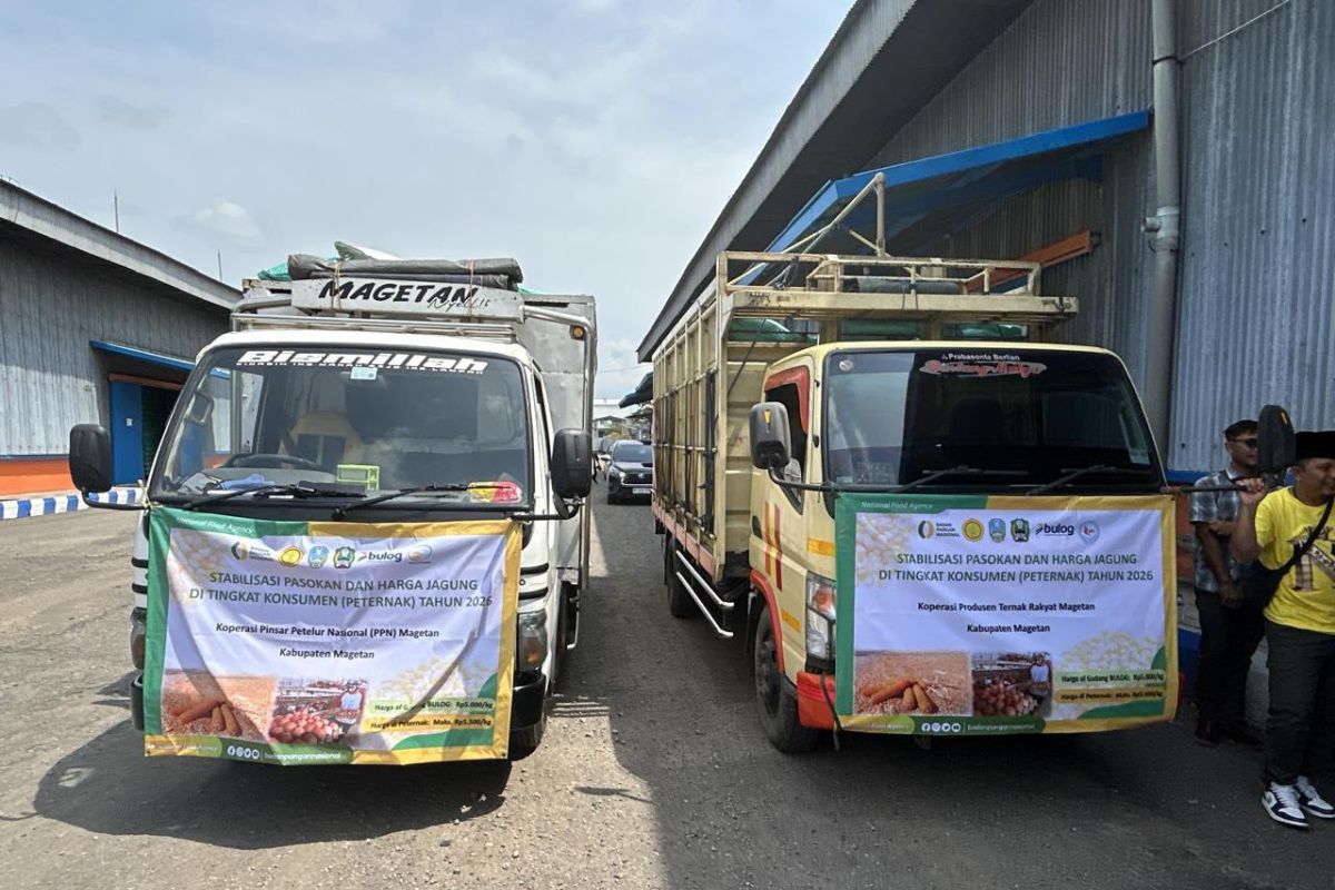 Bulog East Java Speeds Up Distribution of SPHP Maize for Animal Feed