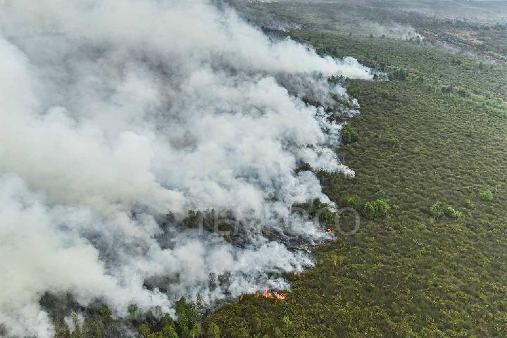 Multiple Hotspots in Concession Areas: What Needs to Be Done?