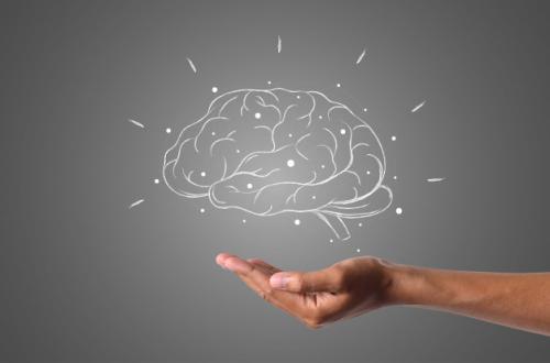 There Is a Light Switch in the Brain