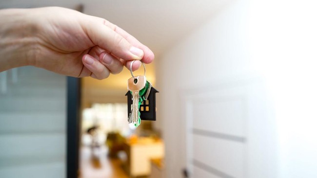 Beware Stubborn Developers and Stalled Apartment Projects: How to Avoid Regret