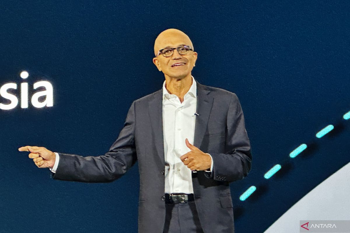 Microsoft CEO Says AI Models Need an ‘Emergency Brake’