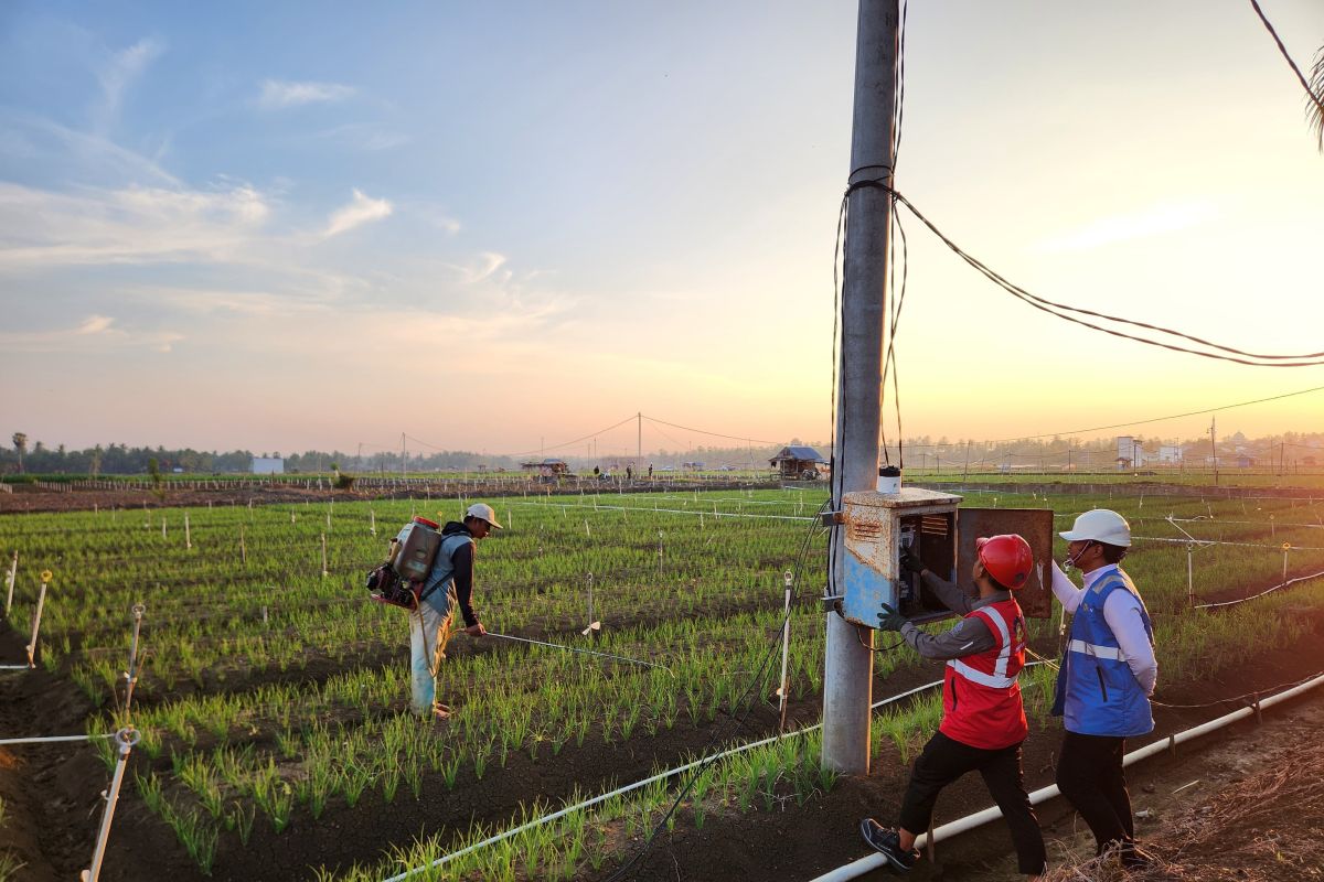 PLN Sulselrabar Pledges to Continue Developing Electrifying Agriculture Programme