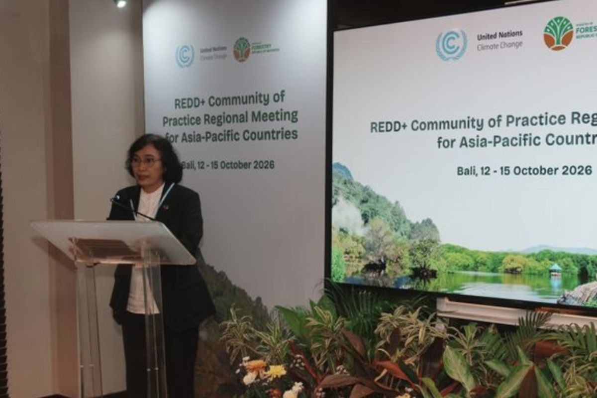 Indonesia and UNFCCC Step Up REDD+ Cooperation with Asia-Pacific Countries