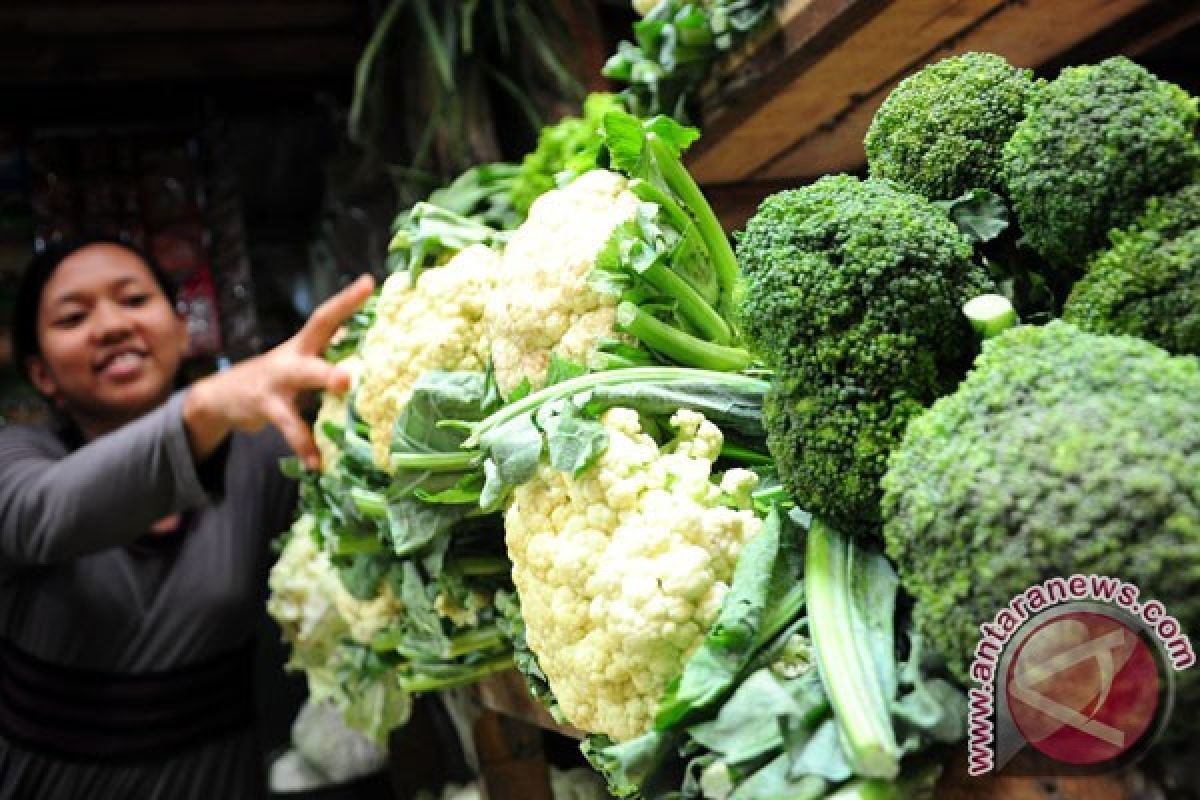 Why Cauliflower Spoils Easily and How to Keep It Fresh