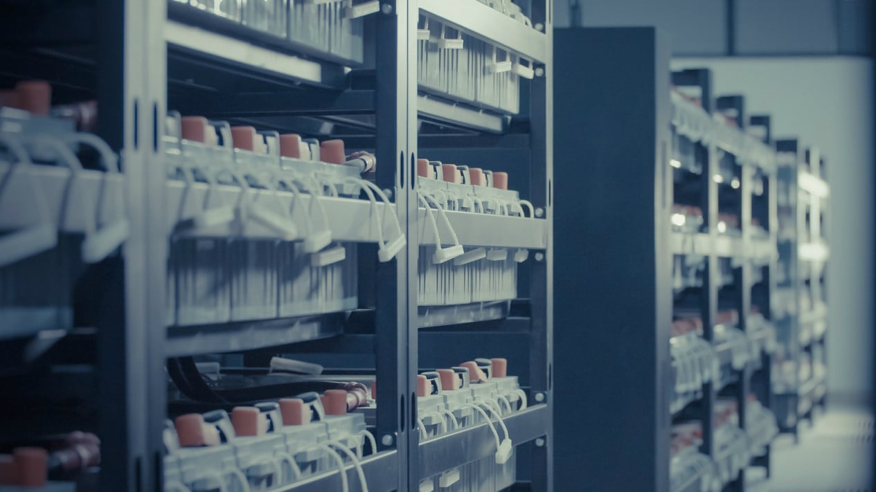 Indonesia’s Data Centre Market Attracts Growing Interest
