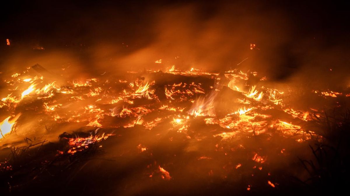 Government Strengthens Strategy to Stop Wildfires from Spreading