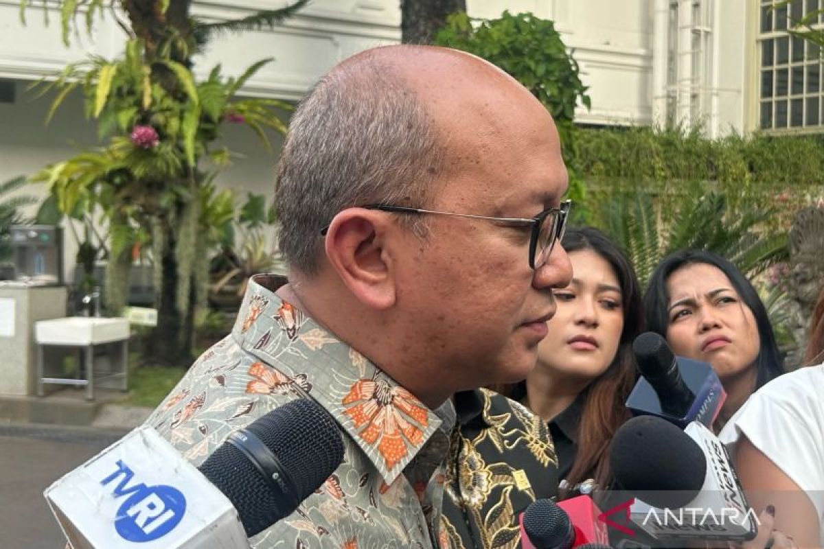 Rosan: Prabowo Wants PLN’s Transformation Accelerated