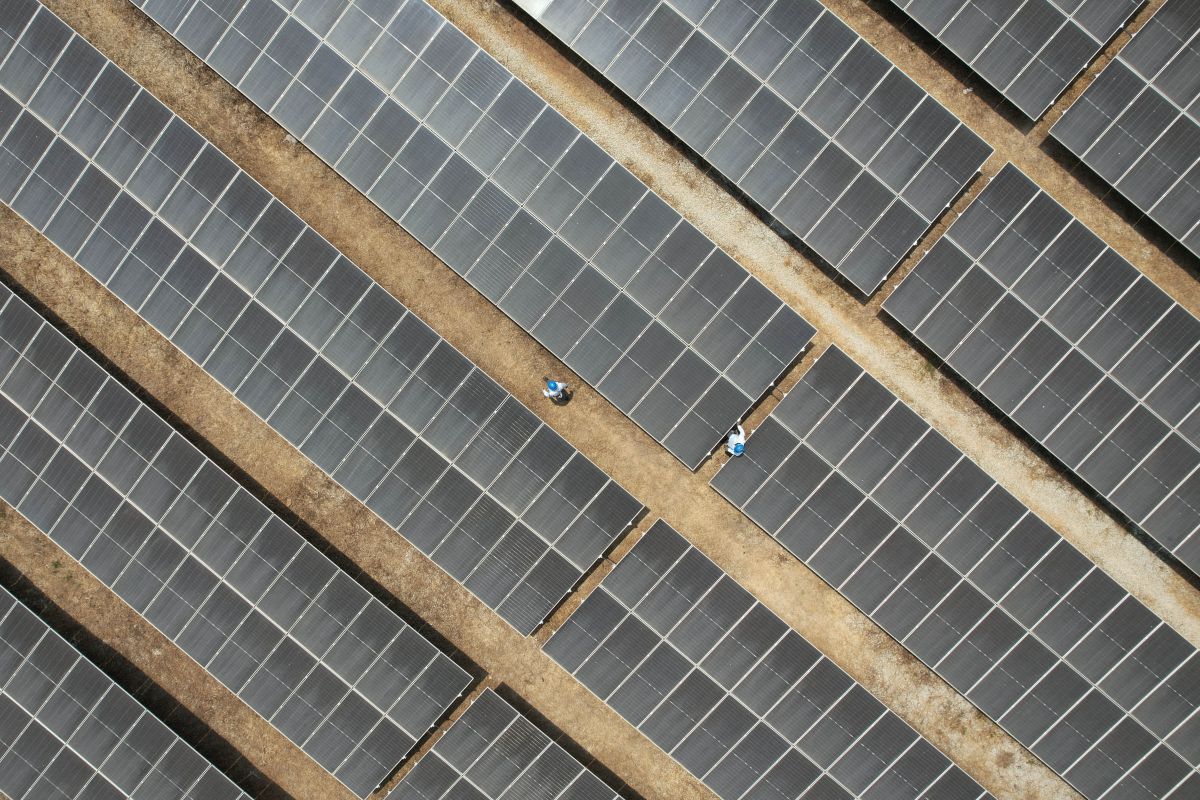 Sunlight turned into electricity as technology transfer advances the green transition