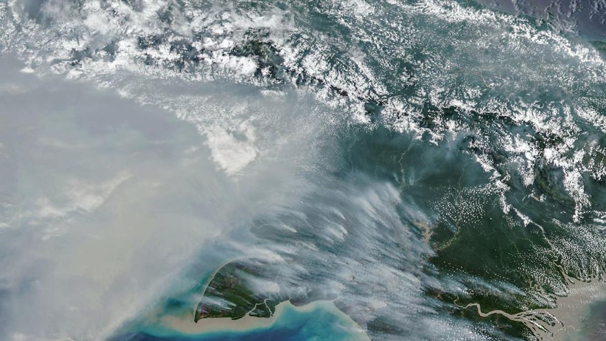 Satellite-Based Forest Fire Monitoring Improved, with Five Provinces Prioritised