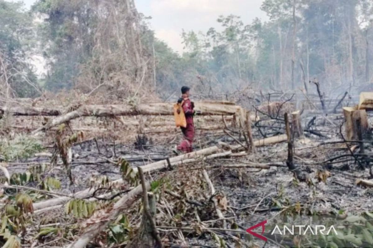 Prabowo gives Tabalong Rp10 billion for wildfire response